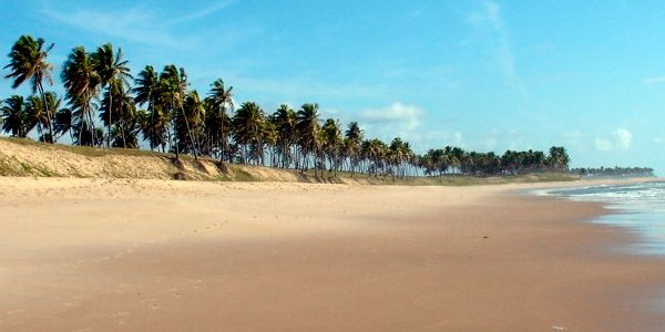 Vacaciones en Salvador de Bahía, playas y palmeras